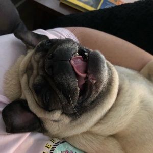 Meet your Posher, Meshelle